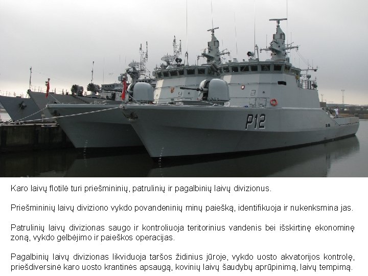 Karo laivų flotilė turi priešmininių, patrulinių ir pagalbinių laivų divizionus. Priešmininių laivų diviziono vykdo Karo laivų flotilė turi priešmininių, patrulinių ir pagalbinių laivų divizionus. Priešmininių laivų diviziono vykdo