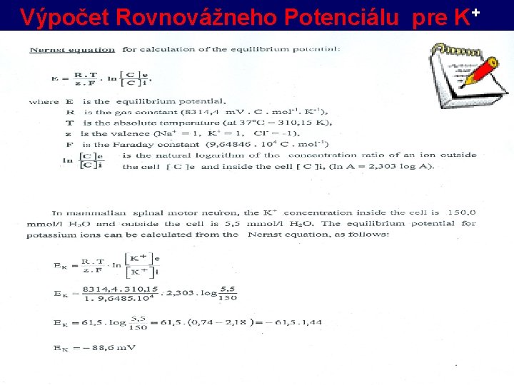Výpočet Rovnovážneho Potenciálu pre K+ 
