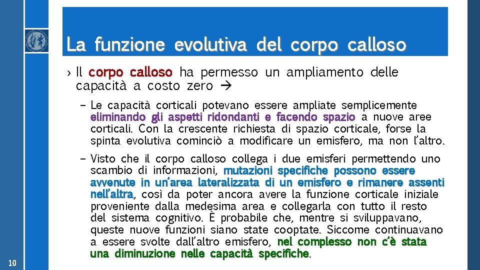 La funzione evolutiva del corpo calloso › Il corpo calloso ha permesso un ampliamento