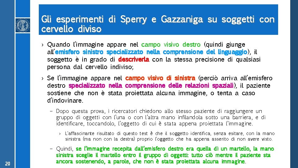 Gli esperimenti di Sperry e Gazzaniga su soggetti con cervello diviso › Quando l’immagine