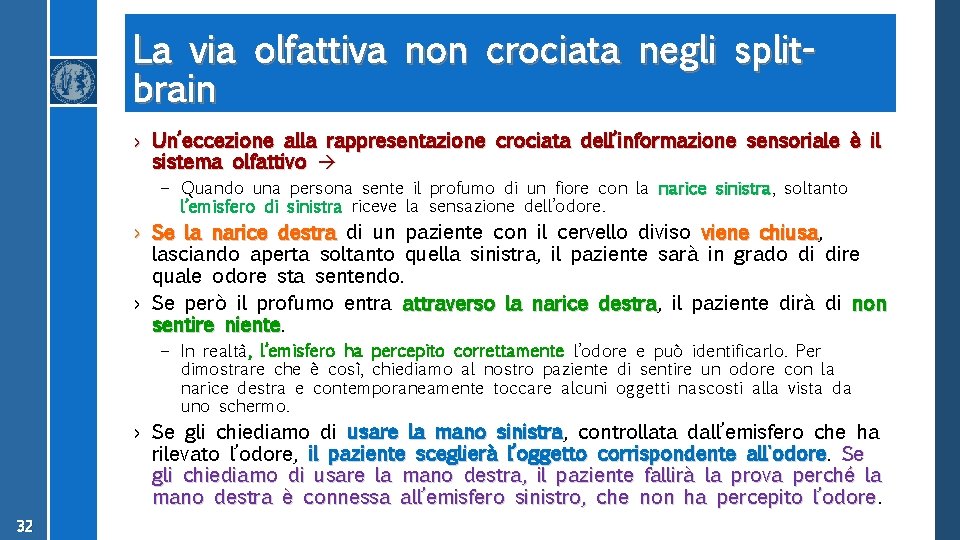 La via olfattiva non crociata negli splitbrain › Un’eccezione alla rappresentazione crociata dell’informazione sensoriale