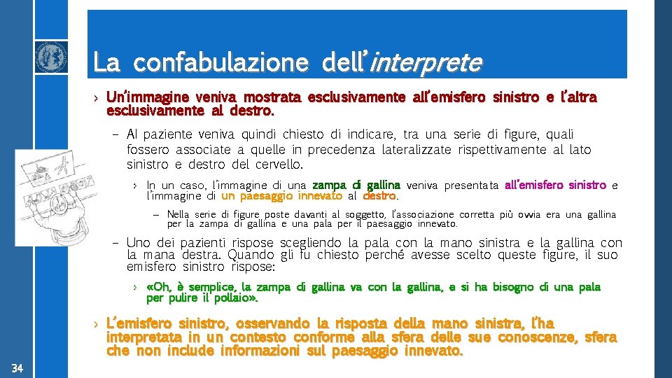 La confabulazione dell’interprete › Un’immagine veniva mostrata esclusivamente all’emisfero sinistro e l’altra esclusivamente al