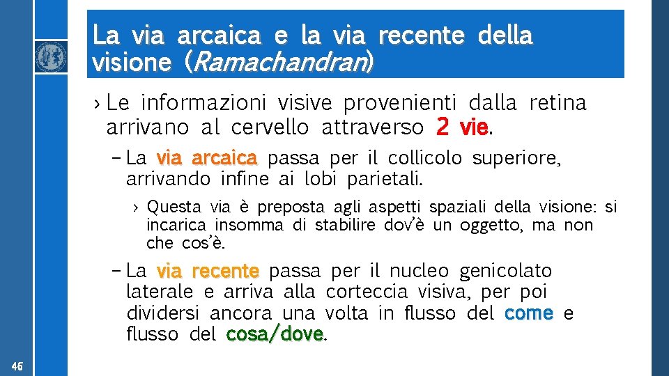 La via arcaica e la via recente della visione (Ramachandran) › Le informazioni visive