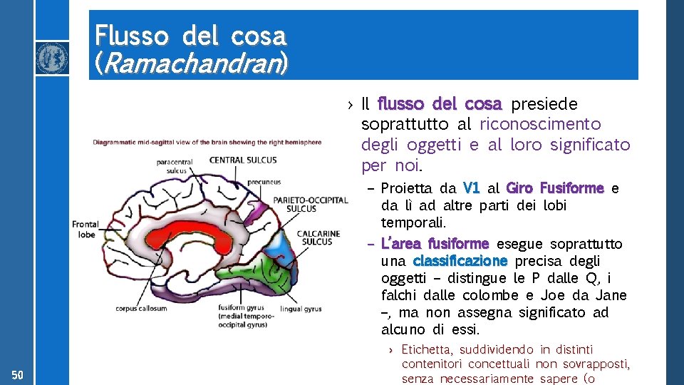 Flusso del cosa (Ramachandran) › Il flusso del cosa presiede soprattutto al riconoscimento degli