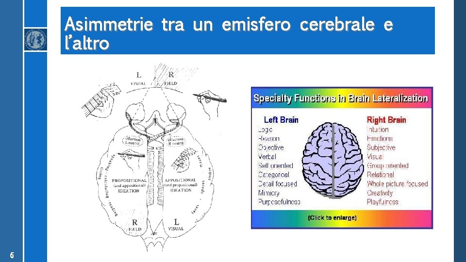 Asimmetrie tra un emisfero cerebrale e l’altro 6 