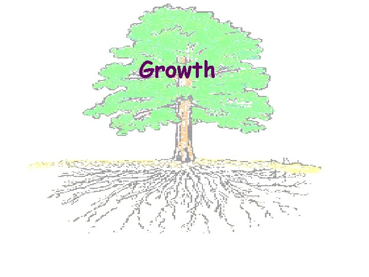 Growth 