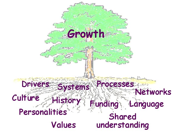 Growth Drivers Culture Systems Processes History Personalities Values Funding Networks Language Shared understanding 