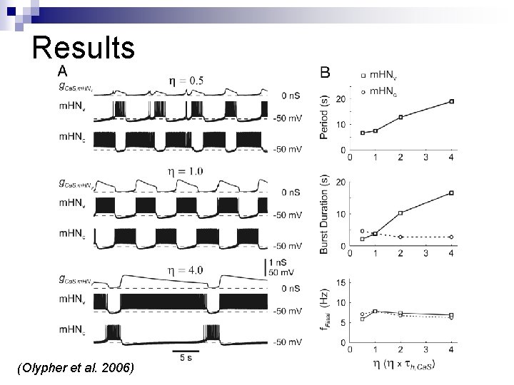 Results (Olypher et al. 2006) 