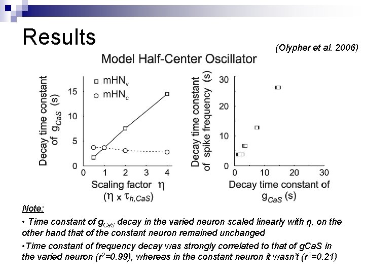 Results (Olypher et al. 2006) Note: • Time constant of g. Ca. S decay