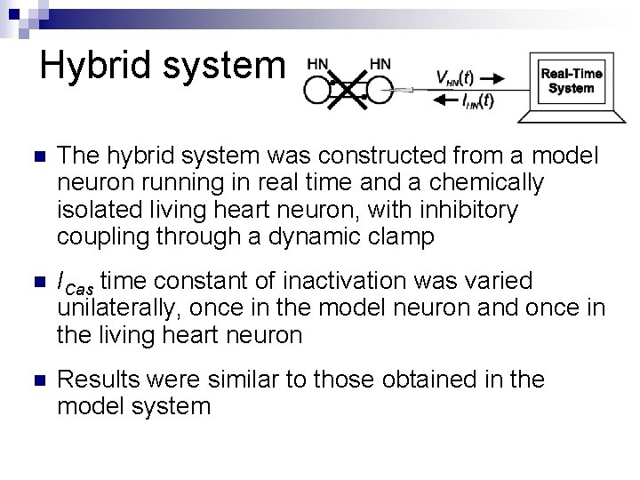 Hybrid system n The hybrid system was constructed from a model neuron running in