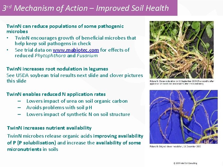 3 rd Mechanism of Action – Improved Soil Health Twin. N can reduce populations