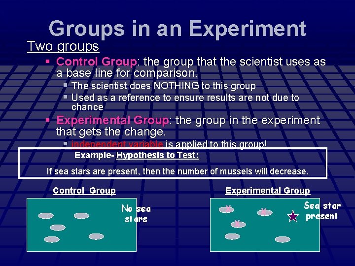 Groups in an Experiment Two groups § Control Group: the group that the scientist