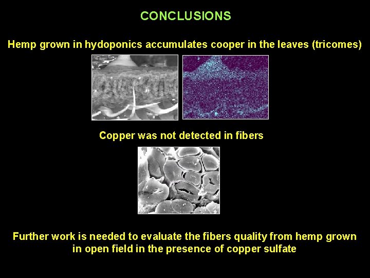 CONCLUSIONS Hemp grown in hydoponics accumulates cooper in the leaves (tricomes) Copper was not