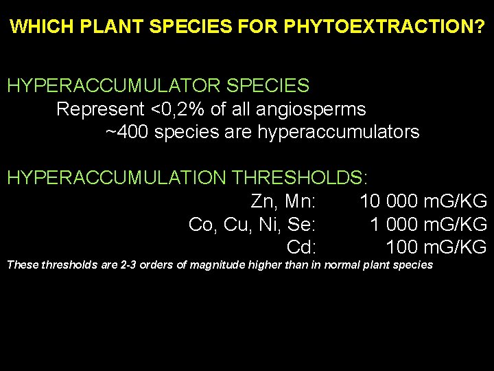 WHICH PLANT SPECIES FOR PHYTOEXTRACTION? HYPERACCUMULATOR SPECIES Represent <0, 2% of all angiosperms ~400
