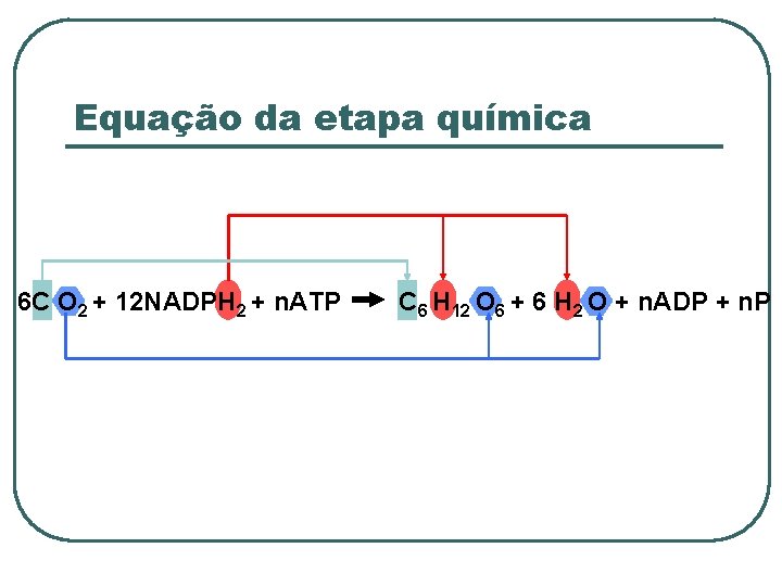 Equação da etapa química 6 C O 2 + 12 NADPH 2 + n.