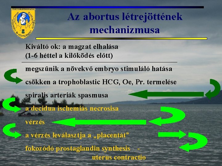 Az abortus létrejöttének mechanizmusa Kiváltó ok: a magzat elhalása (1 -6 héttel a kilőködés