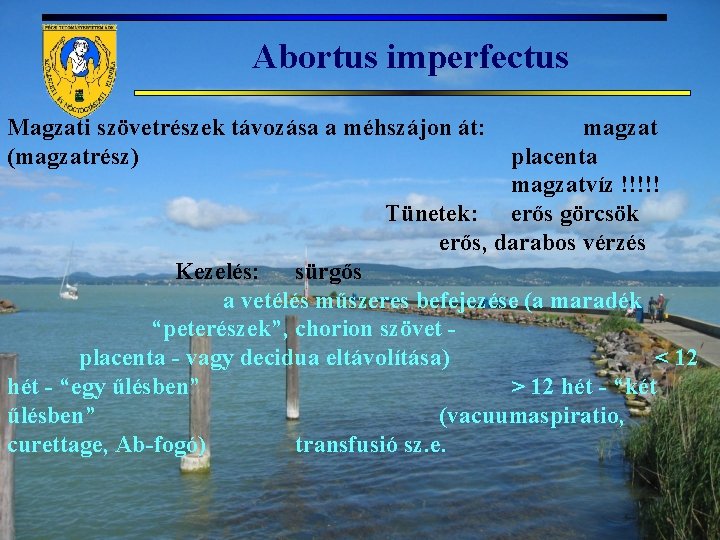 Abortus imperfectus Magzati szövetrészek távozása a méhszájon át: (magzatrész) magzat placenta magzatvíz !!!!! Tünetek: