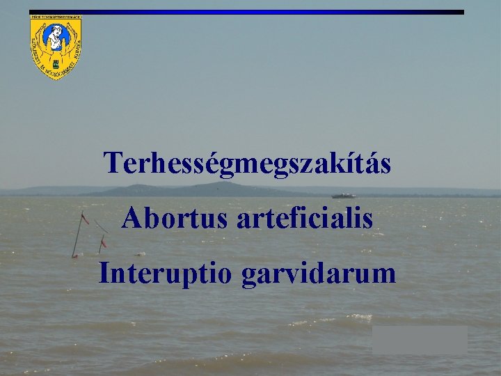 Terhességmegszakítás Abortus arteficialis Interuptio garvidarum 