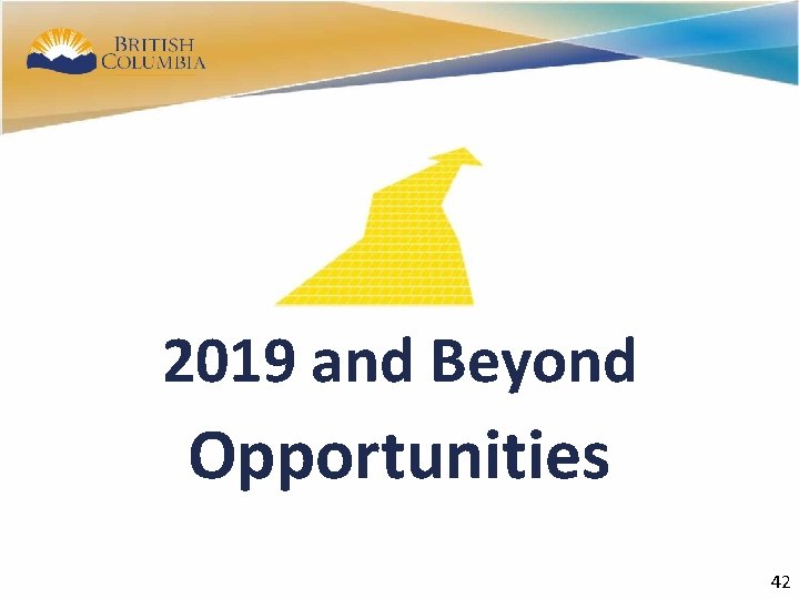 40 2019 and Beyond Opportunities 40 42 
