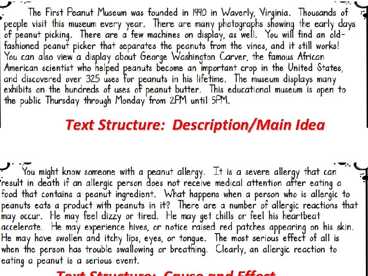 Text Structure: Description/Main Idea 