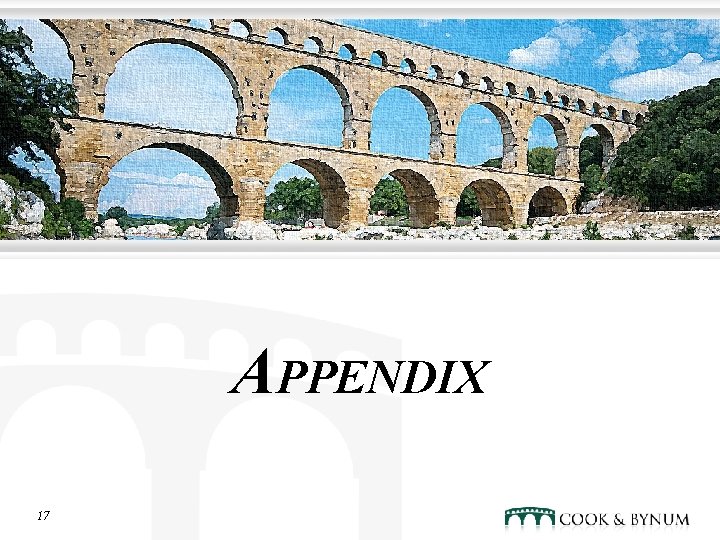 APPENDIX 17 