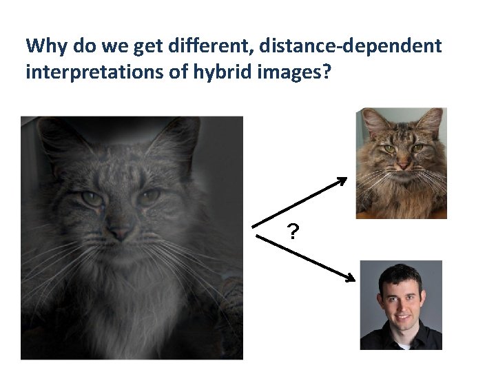 Why do we get different, distance-dependent interpretations of hybrid images? ? 