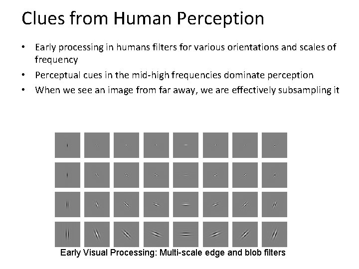 Clues from Human Perception • Early processing in humans filters for various orientations and