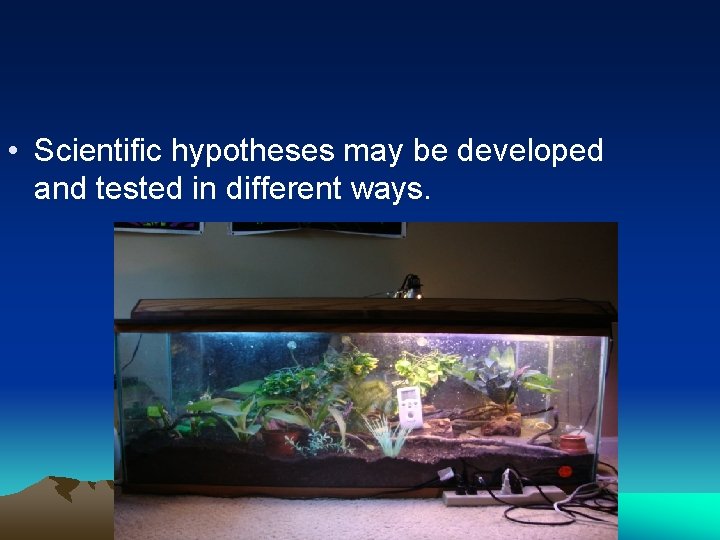  • Scientific hypotheses may be developed and tested in different ways. 