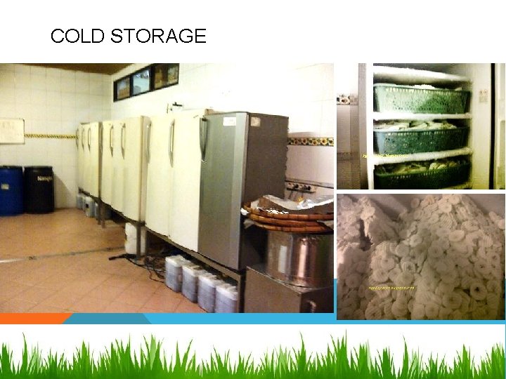 COLD STORAGE 
