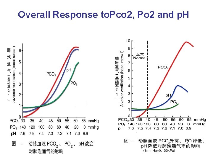 Overall Response to. Pco 2, Po 2 and p. H 