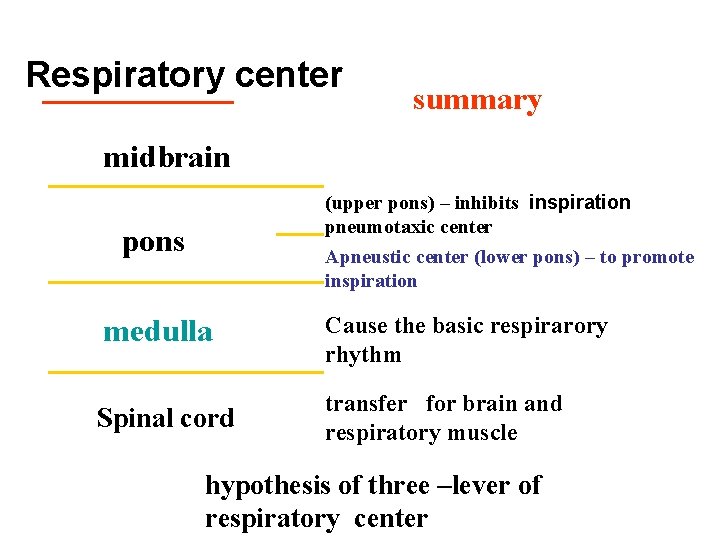 Respiratory center summary midbrain (upper pons) – inhibits inspiration pneumotaxic center Apneustic center (lower