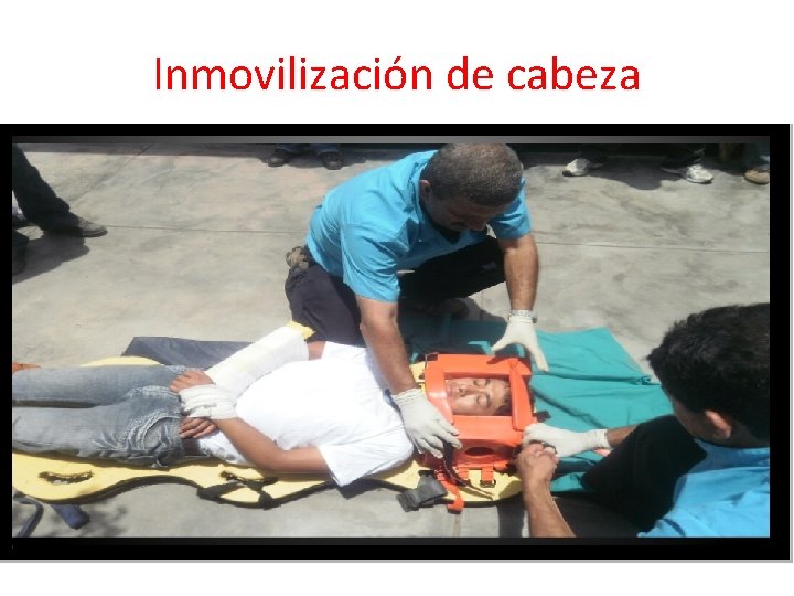 Inmovilización de cabeza 