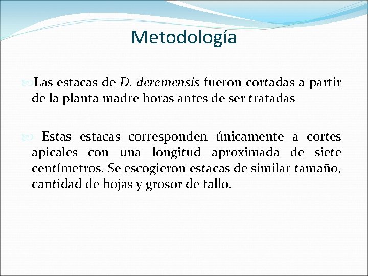 Metodología Las estacas de D. deremensis fueron cortadas a partir de la planta madre