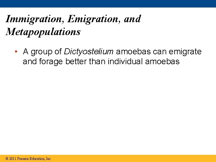 Immigration, Emigration, and Metapopulations • A group of Dictyostelium amoebas can emigrate and forage