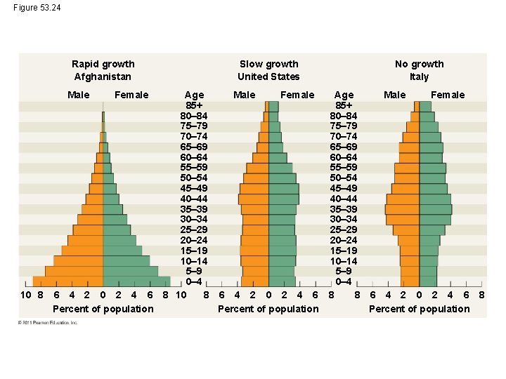 Figure 53. 24 Rapid growth Afghanistan Male 10 8 Female 6 4 2 0