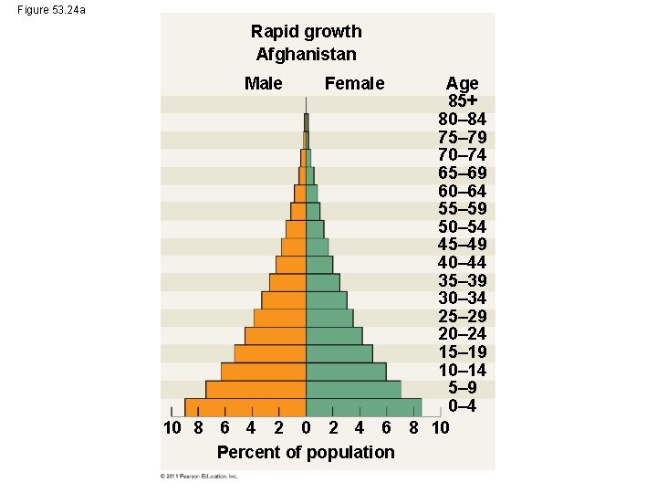 Figure 53. 24 a Rapid growth Afghanistan Male Female 10 8 6 4 2