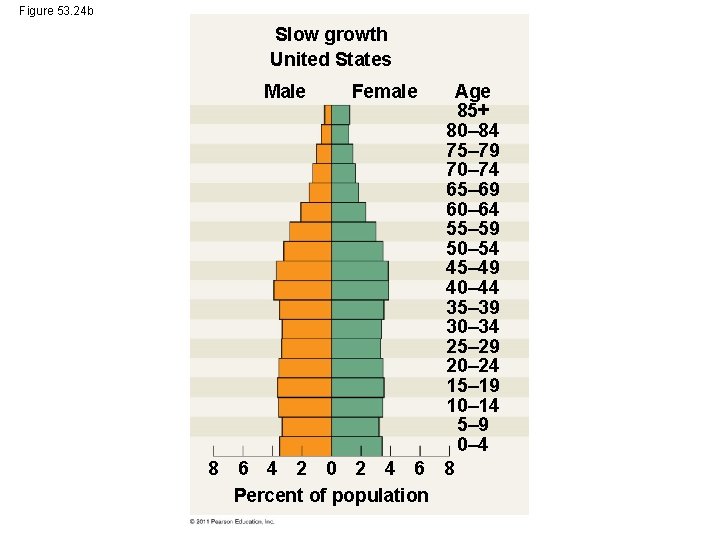 Figure 53. 24 b Slow growth United States Male 8 Female 6 4 2