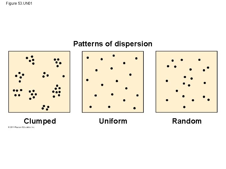 Figure 53. UN 01 Patterns of dispersion Clumped Uniform Random 