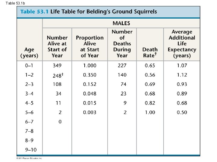 Table 53. 1 b 