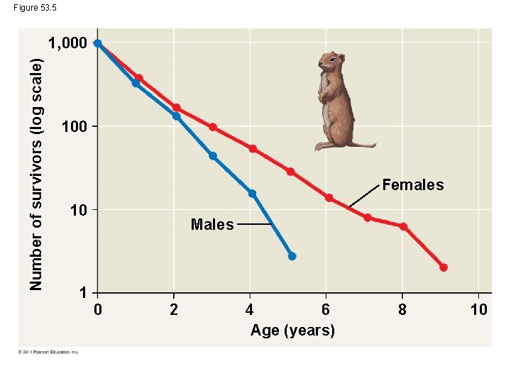 Figure 53. 5 Number of survivors (log scale) 1, 000 100 Females 10 1