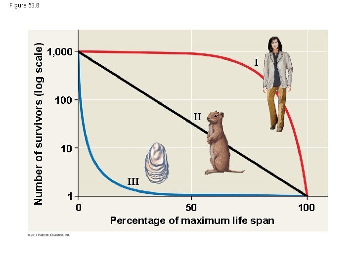 Number of survivors (log scale) Figure 53. 6 1, 000 I 100 II 10