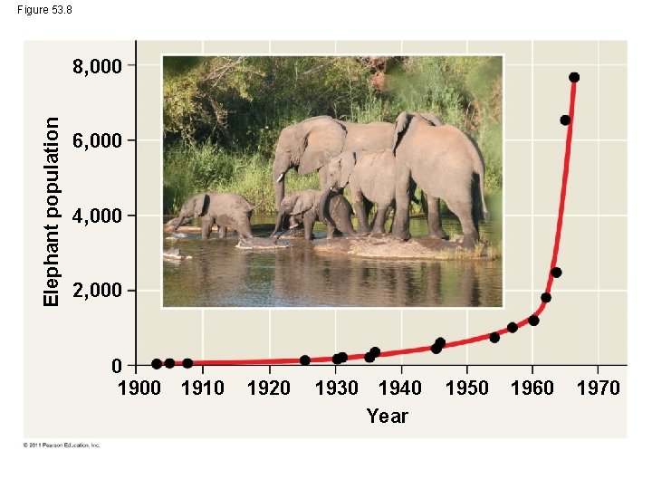 Figure 53. 8 Elephant population 8, 000 6, 000 4, 000 2, 000 0