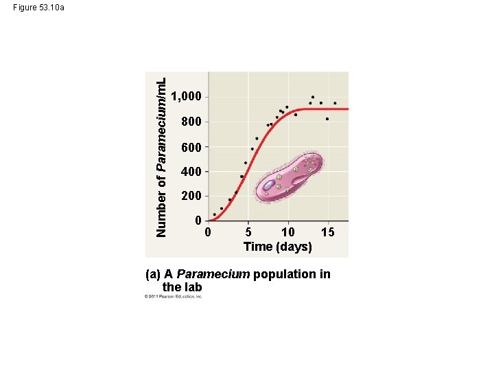 Number of Paramecium/m. L Figure 53. 10 a 1, 000 800 600 400 200