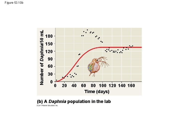 Number of Daphnia/50 m. L Figure 53. 10 b 180 150 120 90 60