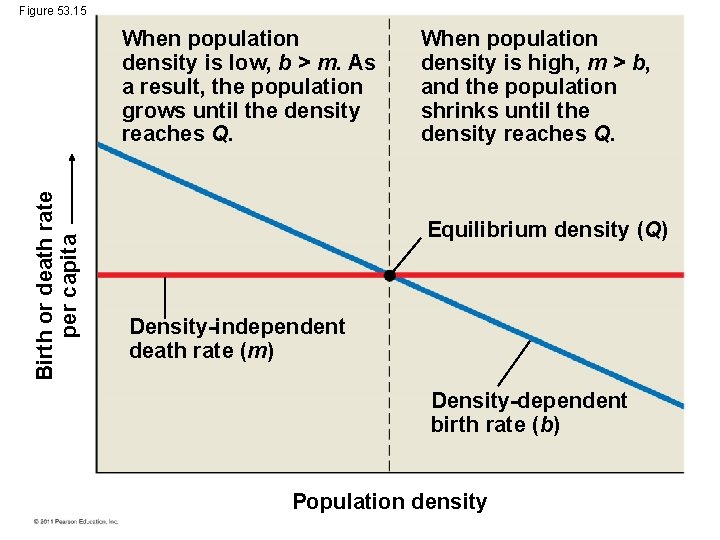 Figure 53. 15 Birth or death rate per capita When population density is low,