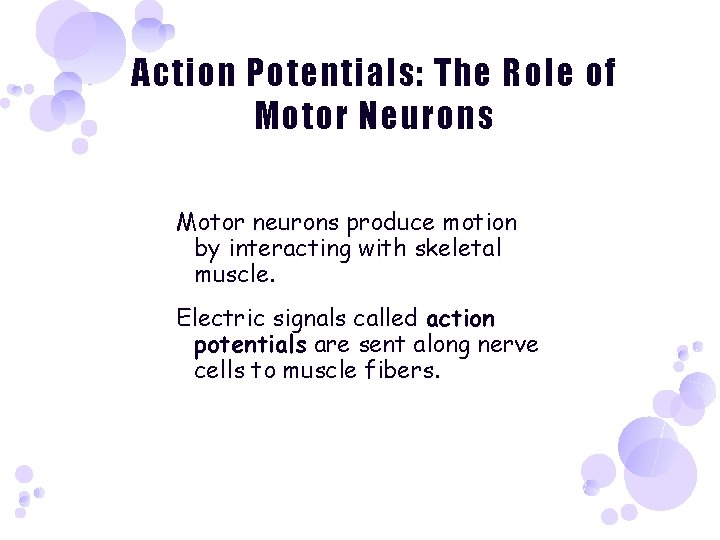 Action Potentials: The Role of Motor Neurons Motor neurons produce motion by interacting with