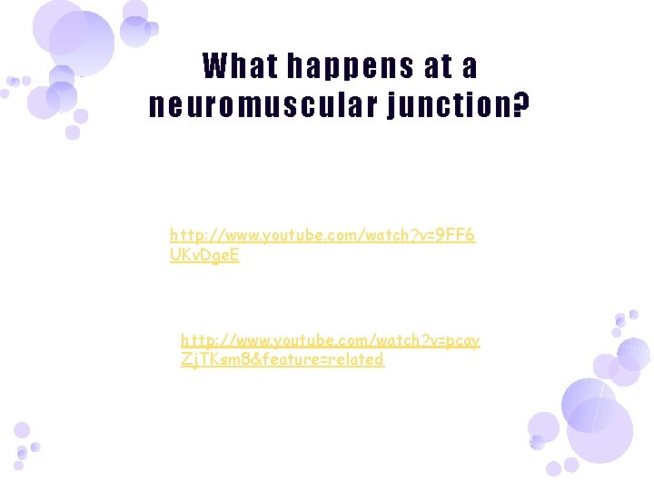 What happens at a neuromuscular junction? http: //www. youtube. com/watch? v=9 FF 6 UKv.
