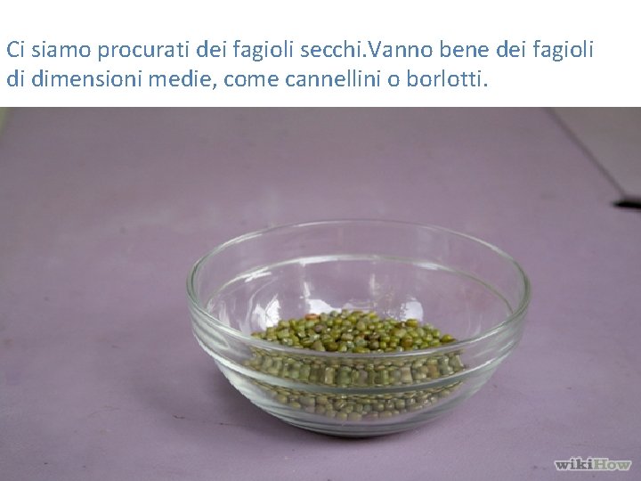 Ci siamo procurati dei fagioli secchi. Vanno bene dei fagioli di dimensioni medie, come