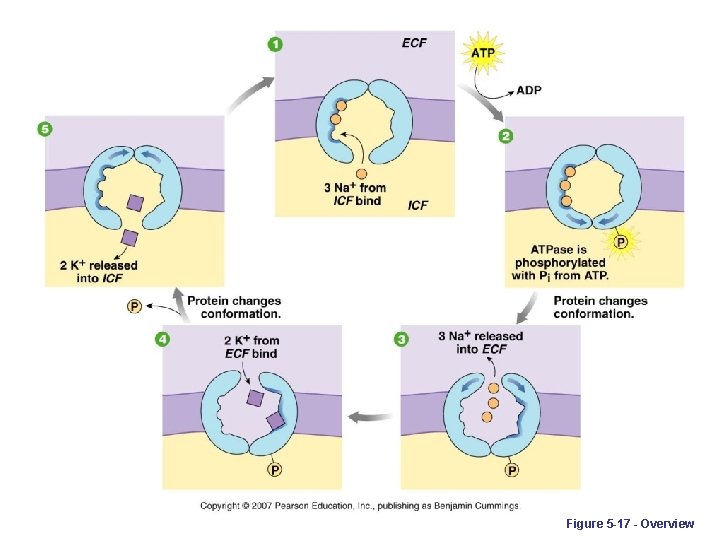 Figure 5 -17 - Overview 