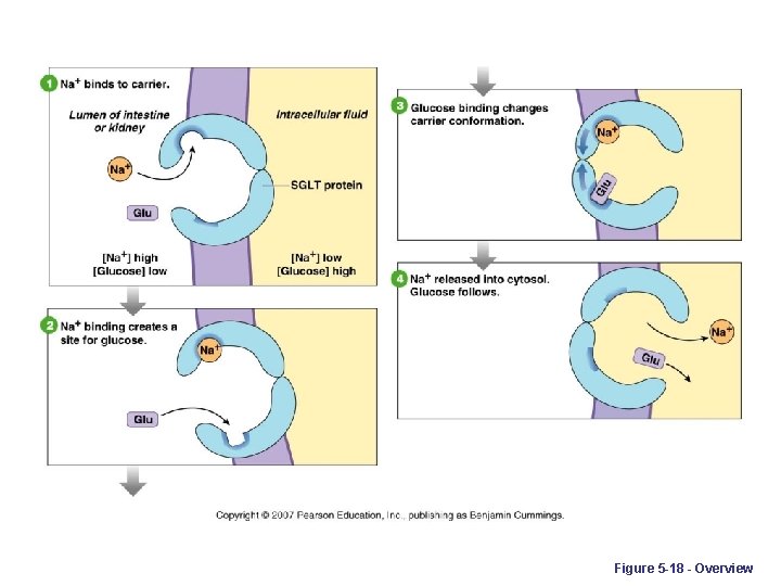 Figure 5 -18 - Overview 
